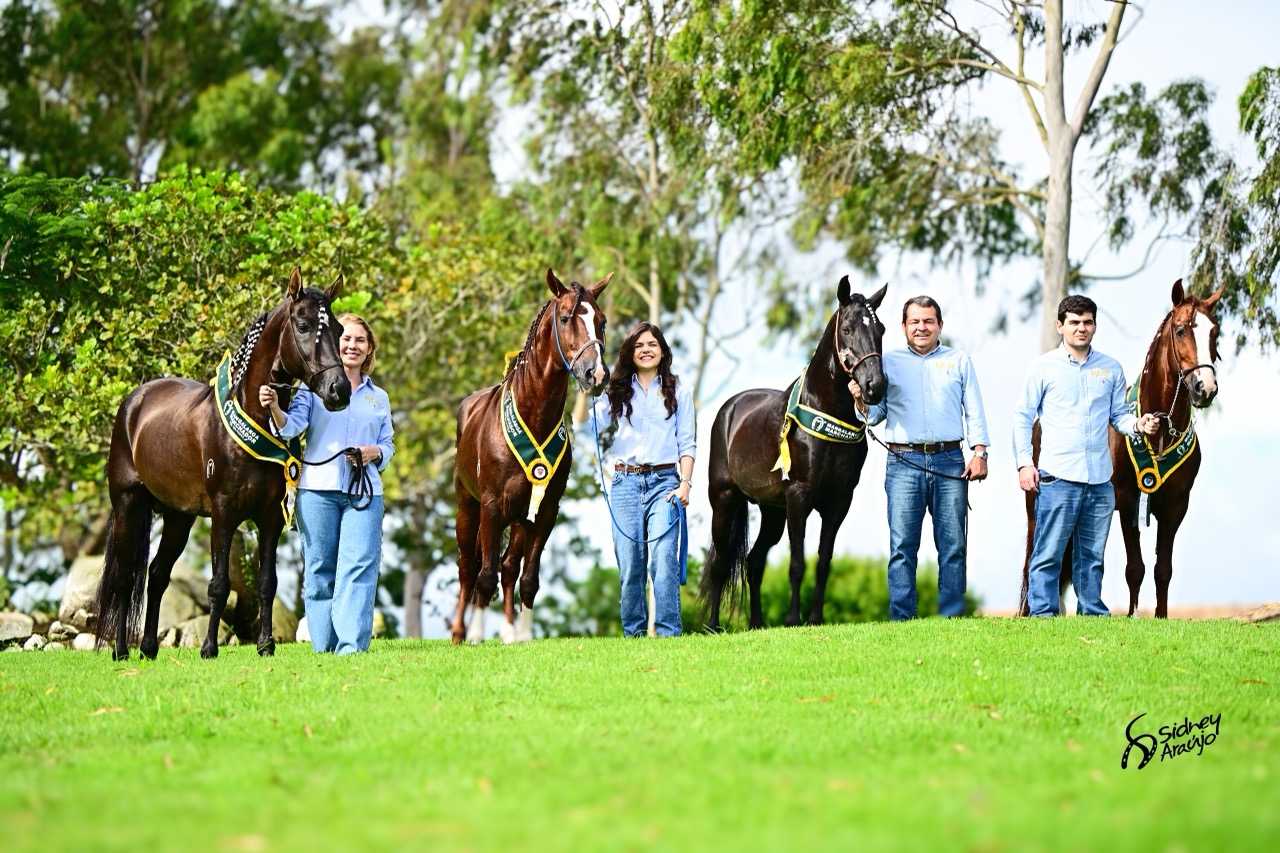 Família Lucchese ao lado de quatro cavalos Mangalarga Marchador premiados, no campo do haras em Gravatá, Pernambuco