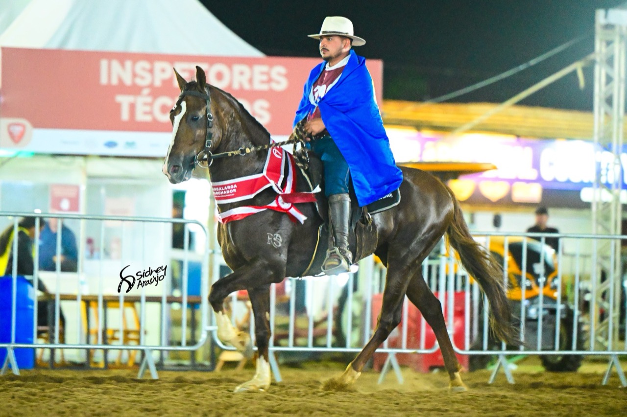 Garanhão Dominante da RSS